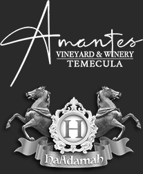 Amantes Vineyard Footer Logo